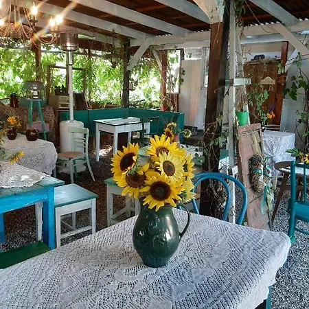 Konukevi Piac Vendeghaz